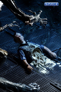 Complete Set of 4: Aliens Series 5 (Alien)