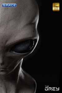 1:1 The Grey life-size Bust (Extraterrestrial)