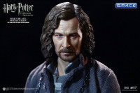 1/6 Scale Sirius Black Prisoner Version (Harry Potter and the Prisoner of Azkaban)