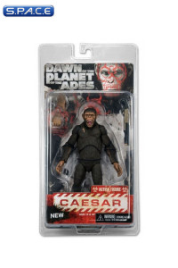 Caesar (Dawn of the Planet of the Apes)