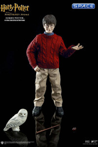 1/6 Scale Harry Potter Casual Wear (Harry Potter and the Sorcerers Stone)