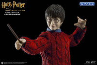 1/6 Scale Harry Potter Casual Wear  (Harry Potter and the Sorcerers Stone)