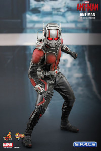 1/6 Scale Ant-Man Movie Masterpiece MMS308 (Ant-Man)