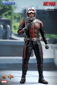 1/6 Scale Ant-Man Movie Masterpiece MMS308 (Ant-Man)