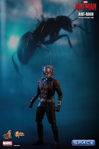 1/6 Scale Ant-Man Movie Masterpiece MMS308 (Ant-Man)