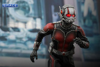 1/6 Scale Ant-Man Movie Masterpiece MMS308 (Ant-Man)