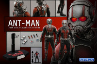 1/6 Scale Ant-Man Movie Masterpiece MMS308 (Ant-Man)