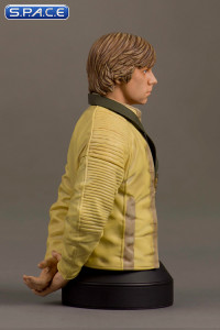 Luke Skywalker Hero of Yavin Bust (Star Wars)