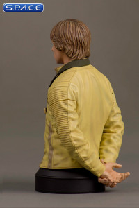 Luke Skywalker Hero of Yavin Bust (Star Wars)