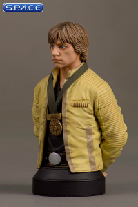 Luke Skywalker Hero of Yavin Bust (Star Wars)
