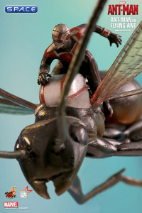 Ant-Man on Flying Ant Movie Masterpiece Compact MMSC003 (Ant-Man)
