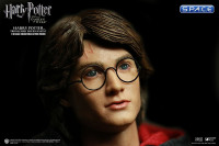 1/6 Scale Harry Potter Triwizard Tournament Version (Harry Potter and the Goblet of Fire)