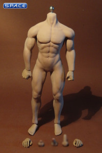 1/6 Scale Seamless Male Body M30 (Super-Flexible)