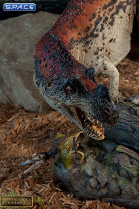 Ceratosaurus Statue (Dinosauria)