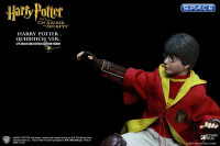 1/6 Scale Harry Potter Quidditch Version (Harry Potter and the Chamber of Secrets)