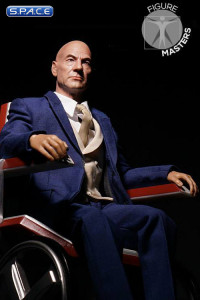 1/6 Scale Professor X