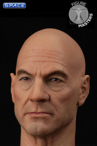 1/6 Scale Professor X