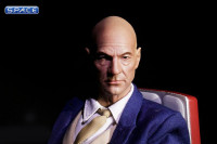 1/6 Scale Professor X