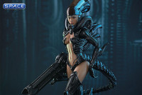 1/6 Scale Alien Girl Hot Angel Series HAS002 (Alien vs Predator)