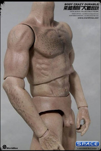 1/6 Scale Durable hairy Body