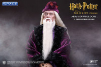 1/6 Scale Albus Dumbledore Basic Version (Harry Potter and the Sorcerers Stone)