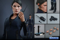 1/6 Scale Maria Hill Movie Masterpiece MMS305 2015 Toyfairs Exclusive (Avengers: Age of Ultron)