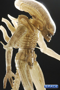 3er Komplettsatz: Aliens Serie 7 (Aliens)