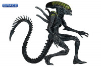 3er Komplettsatz: Aliens Serie 7 (Aliens)