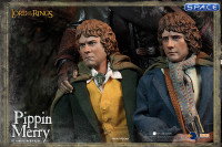 1/6 Scale Merry and Pippin Set (Lord of the Rings)