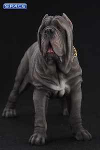 1/6 Scale grey Neapolitan Mastiff