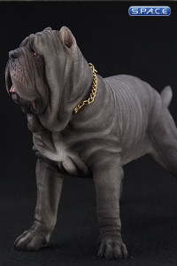 1/6 Scale grey Neapolitan Mastiff