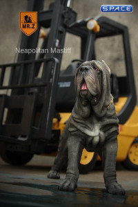 1/6 Scale grey Neapolitan Mastiff