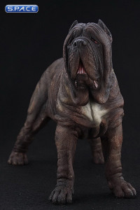 1/6 Scale tabby Neapolitan Mastiff