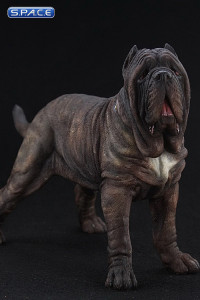 1/6 Scale tabby Neapolitan Mastiff