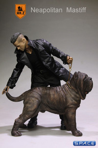 1/6 Scale tabby Neapolitan Mastiff