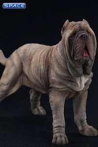 1/6 Scale tan Neapolitan Mastiff