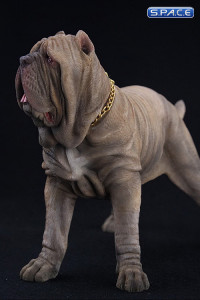 1/6 Scale tan Neapolitan Mastiff