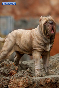 1/6 Scale tan Neapolitan Mastiff