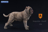 1/6 Scale tan Neapolitan Mastiff