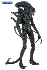 1/4 Scale Alien Warrior 1986 Version (Aliens)