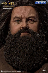1/6 Scale Rubeus Hagrid Regular Version (Harry Potter and the Sorcerers Stone)