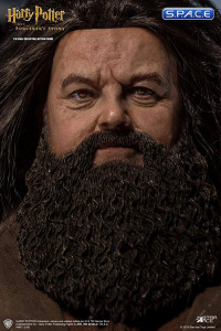 1/6 Scale Rubeus Hagrid Deluxe Version (Harry Potter and the Sorcerers Stone)