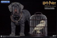 1/6 Scale Rubeus Hagrid Deluxe Version (Harry Potter and the Sorcerers Stone)