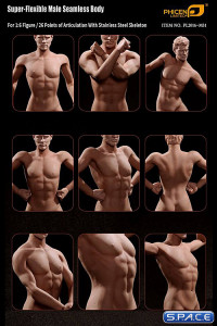 1/6 Scale Seamless Male Body M31 (Super-Flexible)