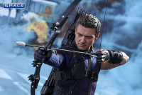 1/6 Scale Hawkeye Movie Masterpiece MMS358 (Captain America: Civil War)