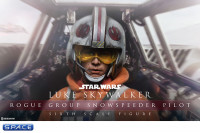 1/6 Scale Luke Skywalker - Rogue Group Snowspeeder Pilot (Star Wars)