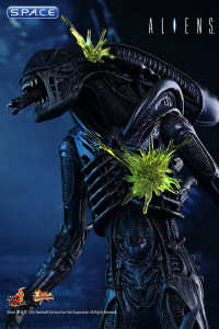 1/6 Scale Alien Warrior Movie Masterpiece MMS354 (Aliens)