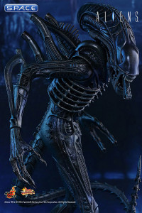 1/6 Scale Alien Warrior Movie Masterpiece MMS354 (Aliens)