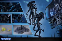 1/6 Scale Alien Warrior Movie Masterpiece MMS354 (Aliens)