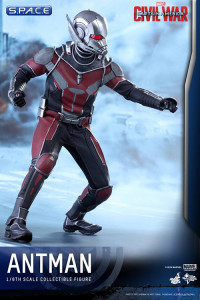 1/6 Scale Ant-Man Movie Masterpiece MMS362 (Captain America: Civil War)